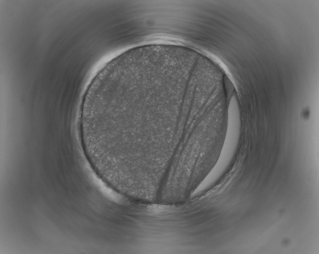 X0000116871379201002021118