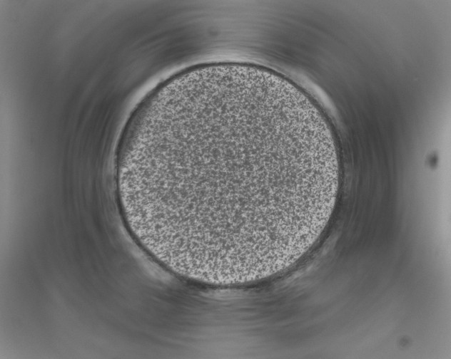 X0000116871380201002021118