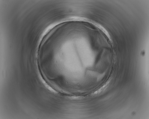 X0000116871381201002021118