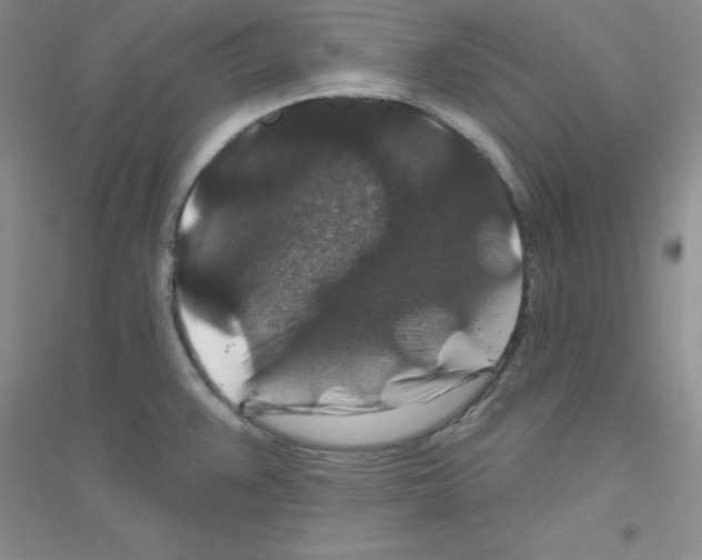 X0000116871383201002021118
