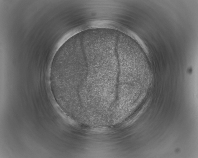 X0000116871386201002021118