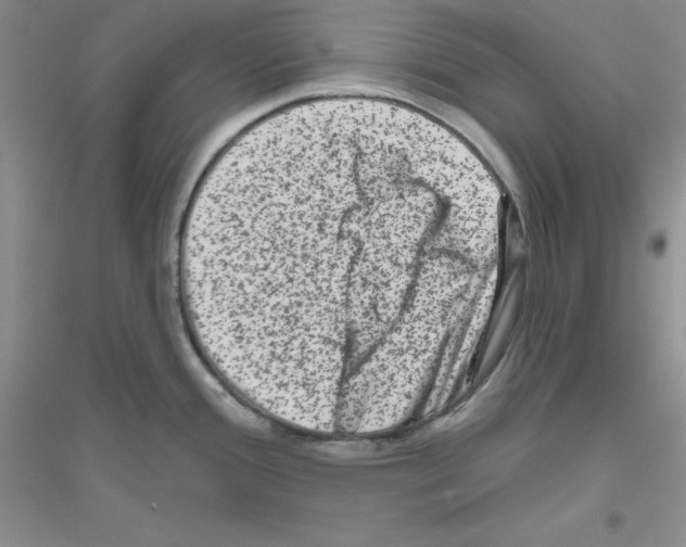 X0000116871388201002021118