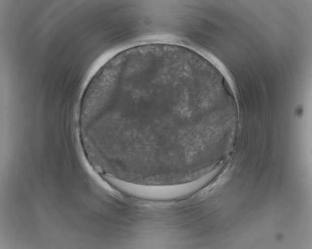 X0000116871389201002021118