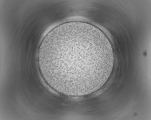 X0000116871390201002021118