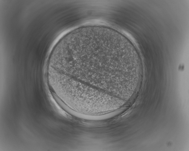 X0000116871392201002021118