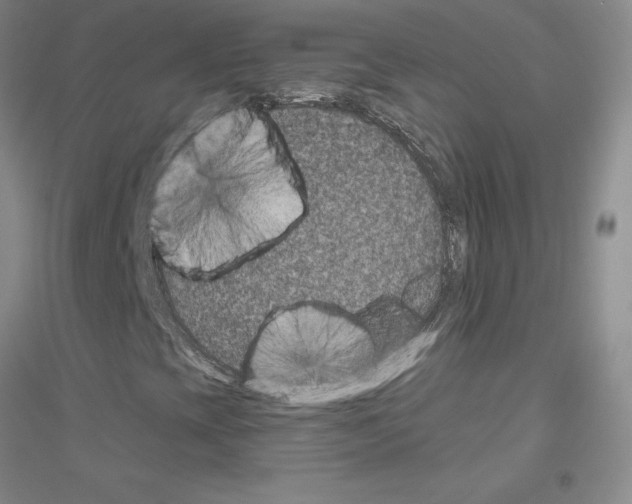 X0000116871393201002021117