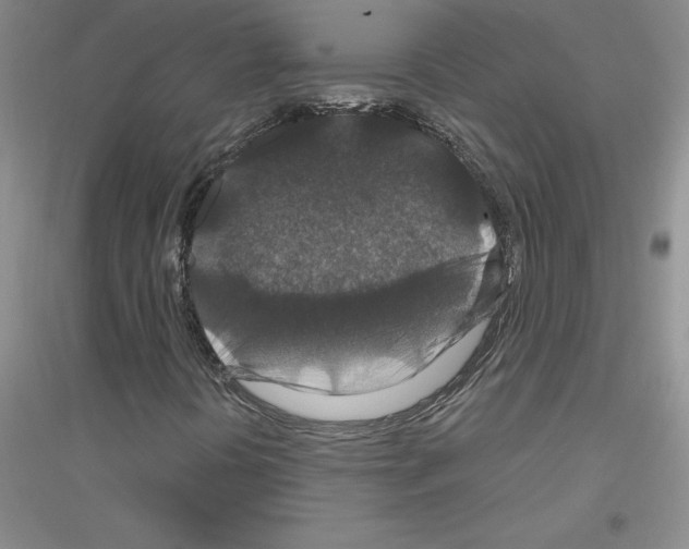 X0000116871394201002021117