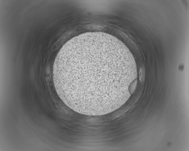 X0000116871395201002021117