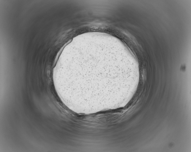 X0000116871396201002021117