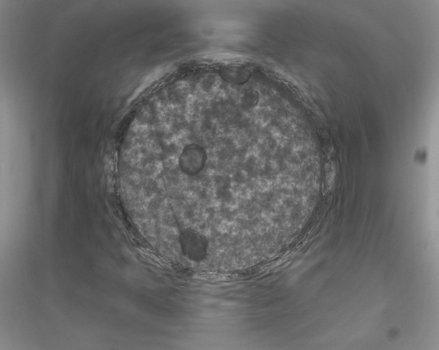X0000116871397201002021117