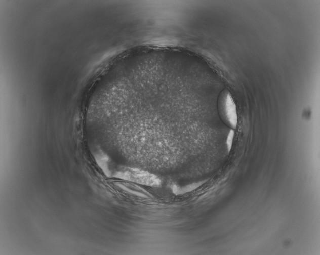 X0000116871398201002021117