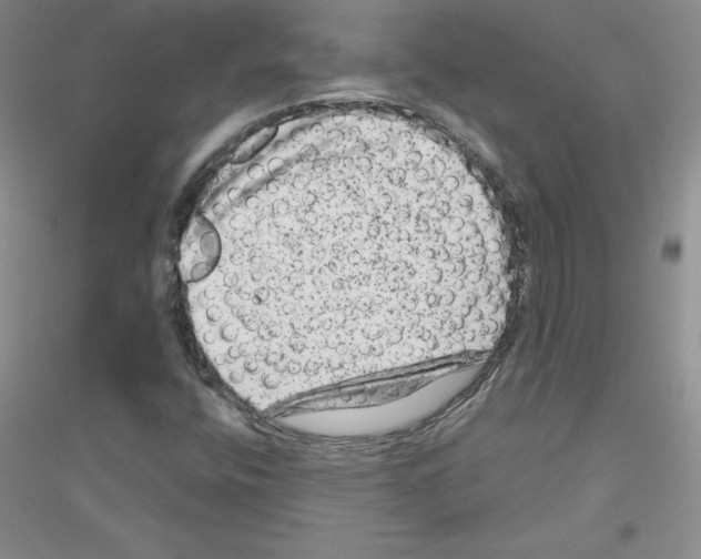 X0000116871400201002021117