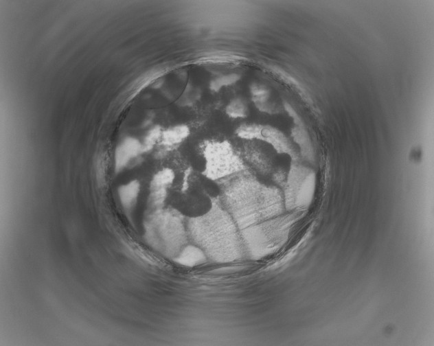 X0000116871401201002021117