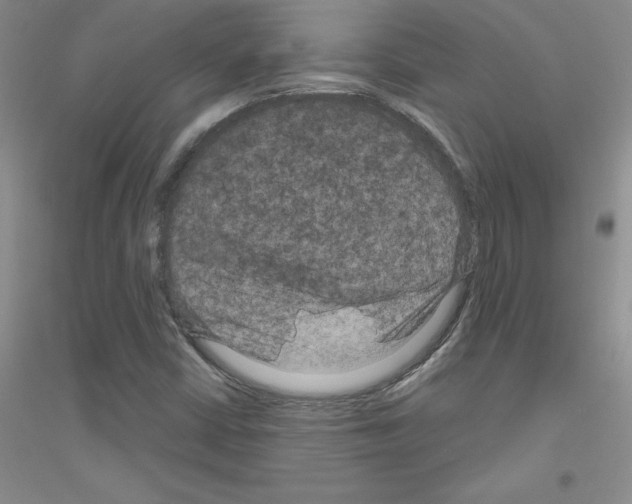X0000116871402201002021117