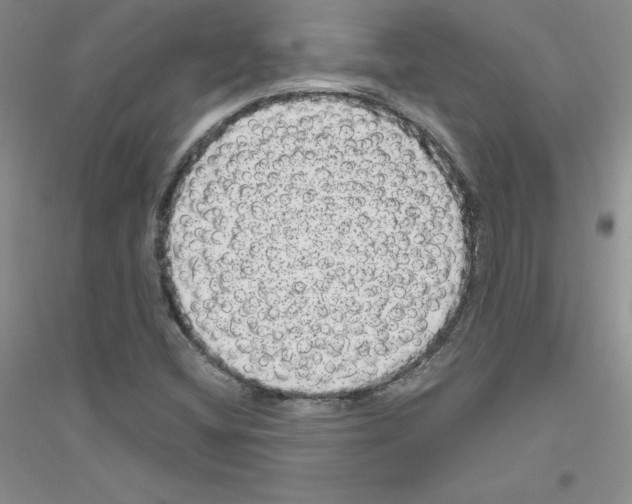 X0000116871404201002021117