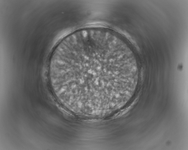 X0000116871405201002021117