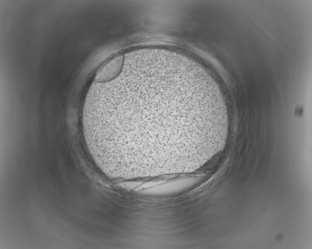 X0000116871407201002021117
