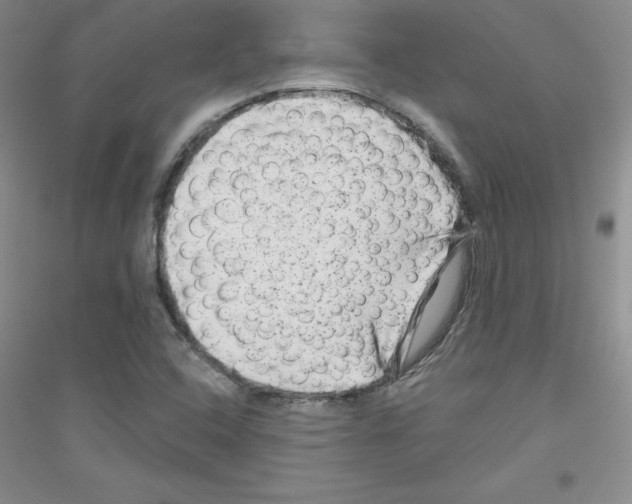 X0000116871408201002021117