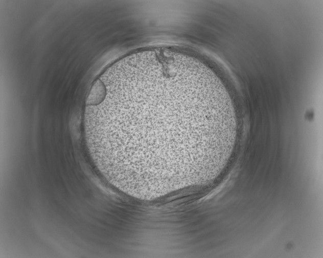X0000116871409201002021117