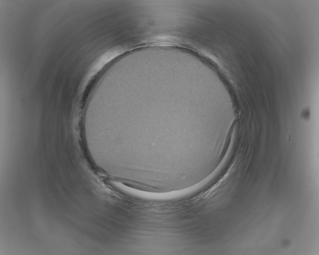 X0000116871410201002021117