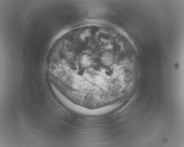 X0000116871411201002021117