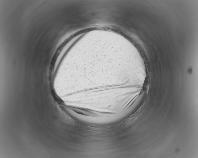 X0000116871412201002021117