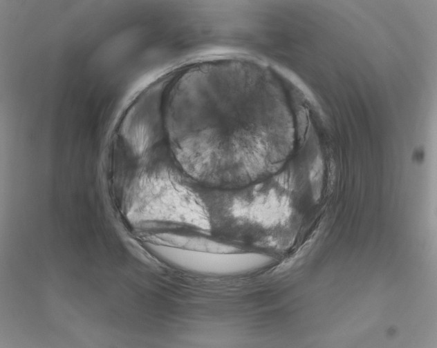 X0000116871413201002021117