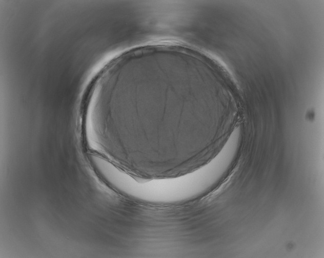 X0000116871414201002021118