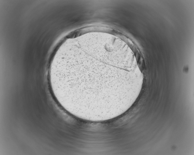 X0000116871416201002021118
