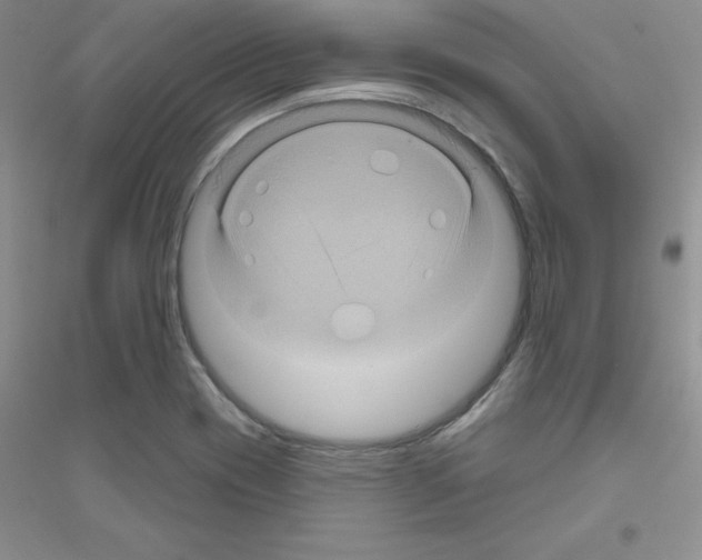 X0000116871417201002021118