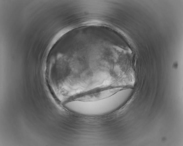 X0000116871418201002021118