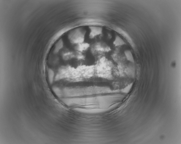 X0000116871419201002021118