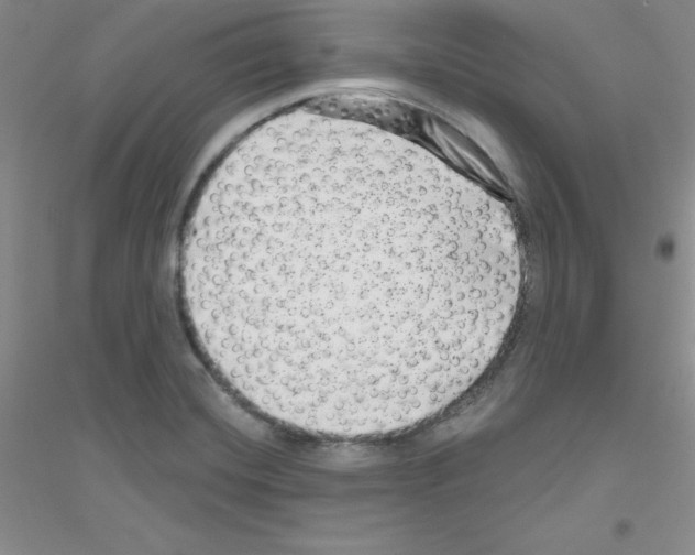 X0000116871420201002021118
