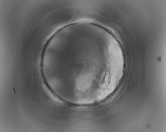 X0000116871422201002021118