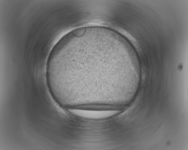 X0000116871423201002021118