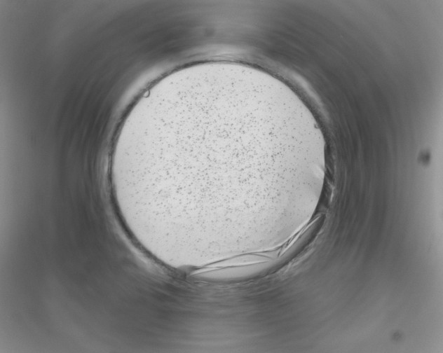 X0000116871424201002021118