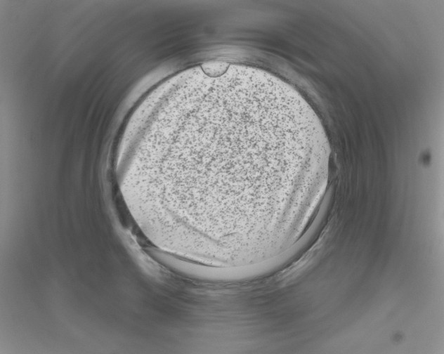 X0000116871426201002021118