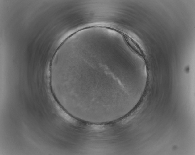 X0000116871428201002021118