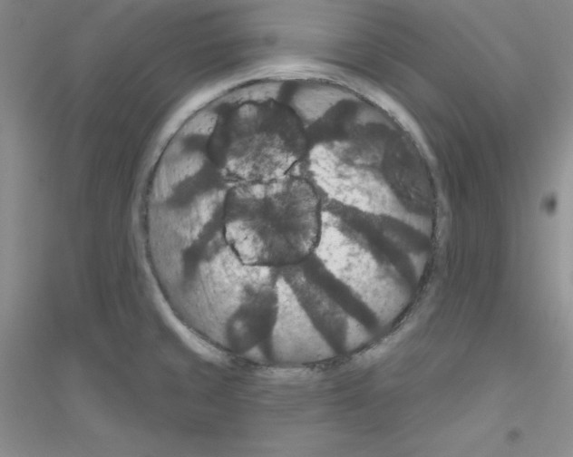 X0000116871429201002021118