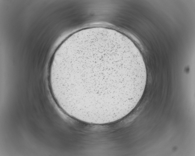 X0000116871430201002021118