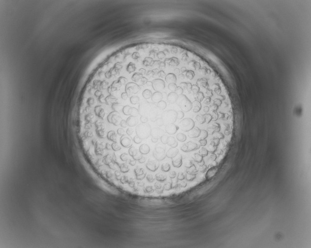 X0000116871432201002021118
