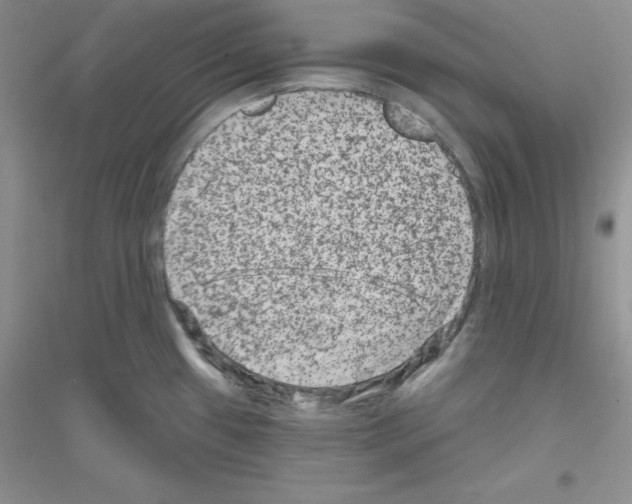 X0000116871433201002021118