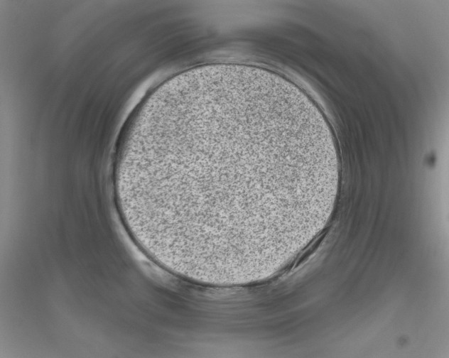 X0000116871434201002021118
