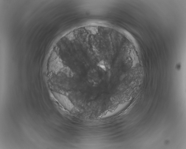 X0000116871435201002021118