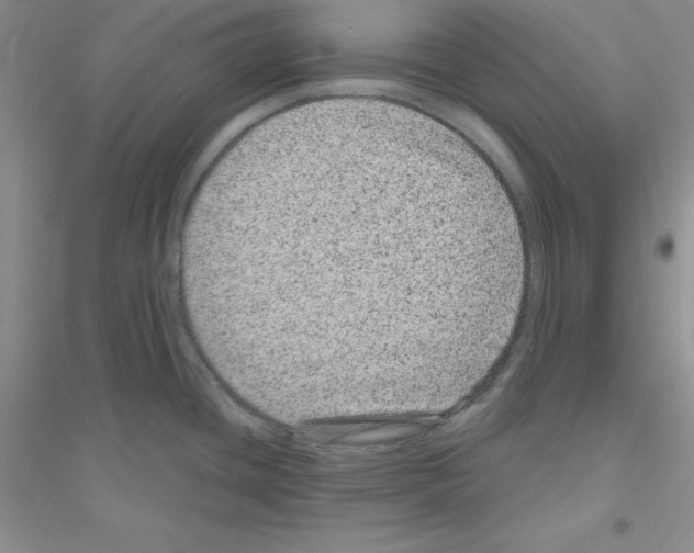 X0000116871436201002021118