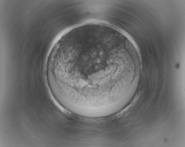 X0000116871437201002021118