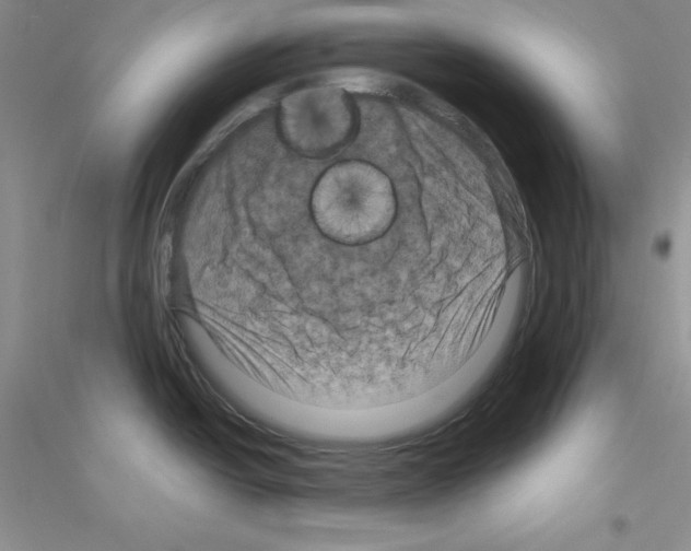 X0000116871438201002021118