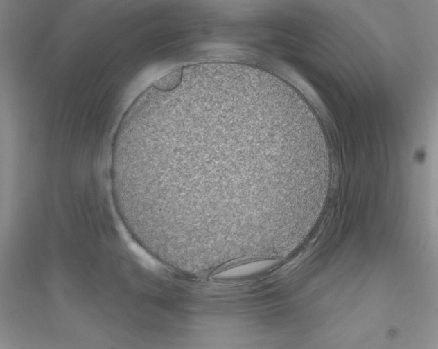 X0000116871439201002021118