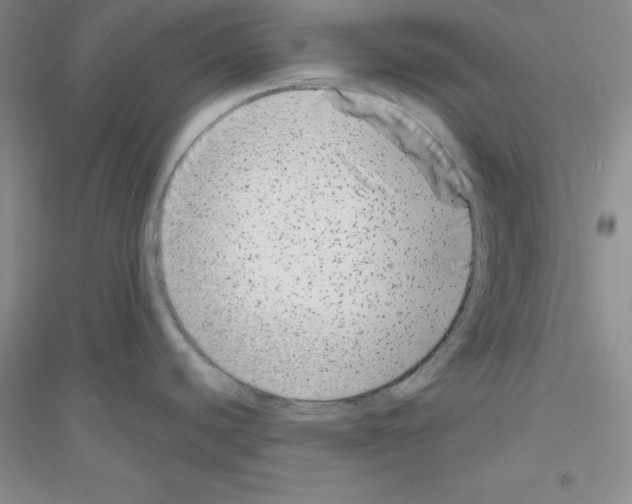 X0000116871440201002021118
