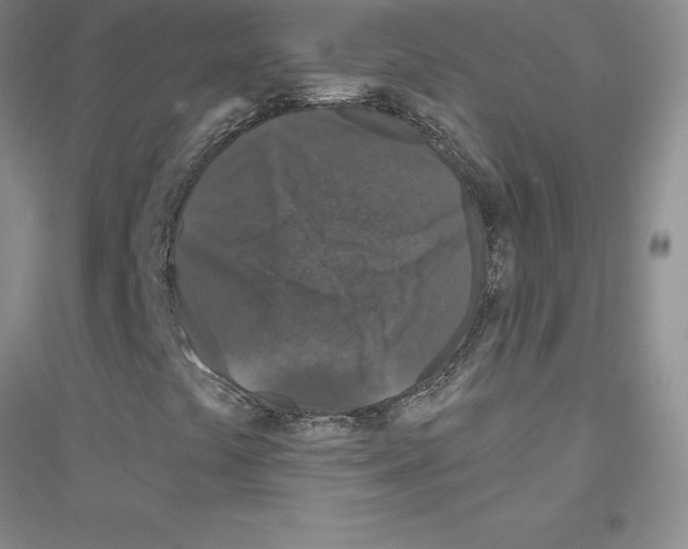 X0000116871441201002021117